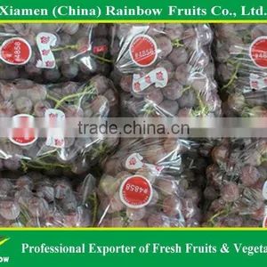 Top Quality Fresh Sweet Yunnan Red Grapes for Sell With POP SGV Brand thumbnail-5