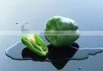 Chinese Fresh Sweet&color Pepper thumbnail-1