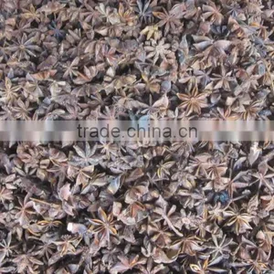 VIETNAM HIGH QUALITY STAR ANISE thumbnail-6