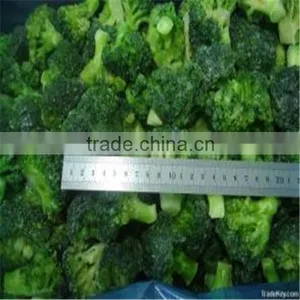 Frozen Vegetable Broccoli 3-5cm IQF Broccoli/Brocoli/ Brokkoli thumbnail-1