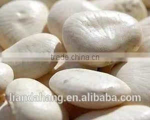 A Range of Kidney Beans thumbnail-4