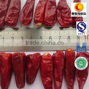 Dried Red Bullet Chili Spices Manufacture thumbnail-1