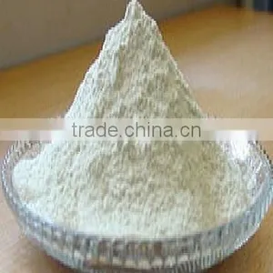 Dehytrated White Onion Powder thumbnail-1