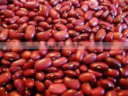 High Quality Red Bean From Viet Nam With Best Price thumbnail-1