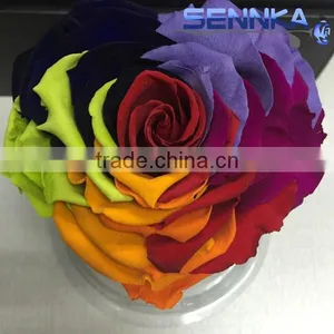 Heartshaped Long Life Rose Preserved Flowers for Arrangement thumbnail-1