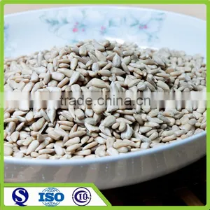 Wholesale and Bulk Peeled Sunflower Seeds Kernels thumbnail-1