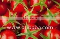 NO PRESERVATIVES Italian CHERRY TOMATOES From South Italy Pomodoro Ciliegino thumbnail-1