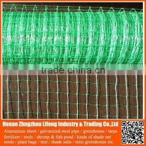 Hot Selling Orchard HDPE Knotted Mesh Bird Netting / pe Anti Bird Net / Platic Bird Protection Net on Grapes thumbnail-5