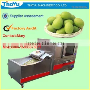 Olive Pit Remove/Remover/Seed Extracting Machine/Separator/ Separating Machine(SMS: 0086-15903675071) thumbnail-1