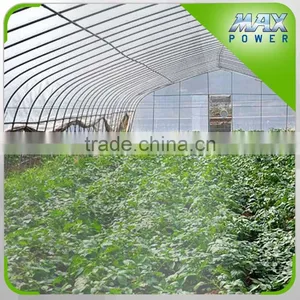Watermelon Greenhouse With Plastic Covering thumbnail-2