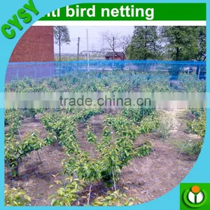 Plastic Anti Bird Net/Capture Bird Net/Agriculture Bird Net thumbnail-4