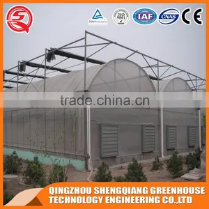 Multifunction Plastic Film Greenhouse for Vegetables Planting,flowers,culture thumbnail-4