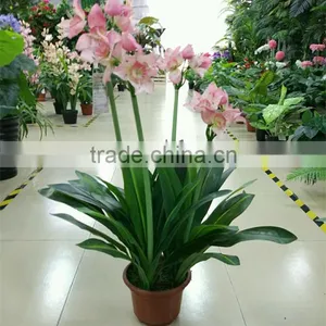 SJ300916 Artificial Indoor Decorative Bonsai Plant With Daffodils Flower thumbnail-2