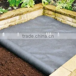 Agricultural pp Weed Mat Black Plastic Ground Cover for Sale thumbnail-4