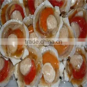 Frozen Half Shell Scallops With Cheaper Price thumbnail-1