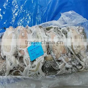 Fresh and Frozen Dried Squid Products thumbnail-1