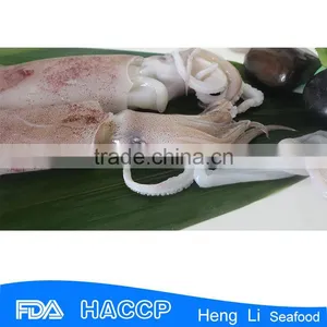 HL0088 Illex Squid Tubes Squid Fish thumbnail-2
