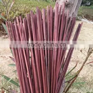 Bamboo Garden Canes Growing Sticks for Planting Support DYED BROWN thumbnail-3