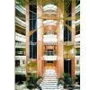 LIFT(PASSENGER LIFT,CARGO LIFT;HOSPITAL LIFT) thumbnail-1