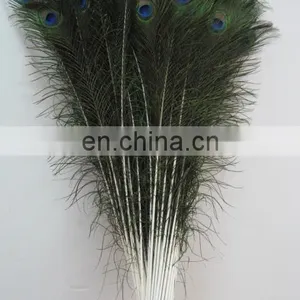 Factory Directly Sale Wholesale Top Quality Peacock Feathers in Stock thumbnail-2
