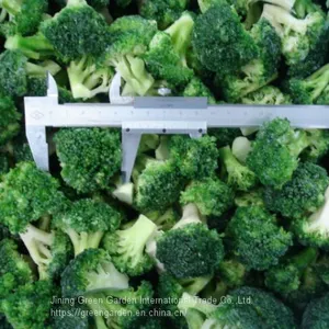 Frozen Broccoli thumbnail-2