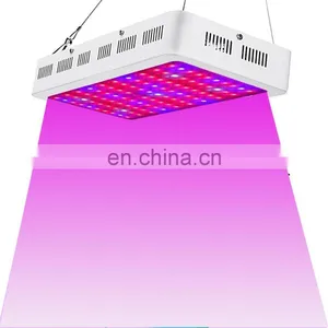 Factory Price 1000W Double Chips Full Spectrum LED Grow Lights for Indoor Plants thumbnail-6