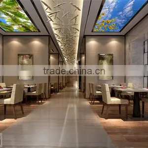 2016 Luminous Led Sky Curtain Wall Panel thumbnail-3