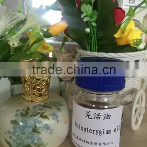 Pure and Natural Notopterygium Root Oil for Medicine Grade thumbnail-5