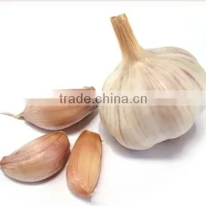 KH Steady Product Quality Garlic Press thumbnail-4