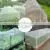Fruit Tree Insect Control Net Greenhouse Insect Control Net Insect Breeding Net for Agricultural Breeding thumbnail-5