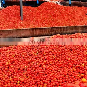 Factory Price Tomato Paste Processing Machine Ketchup Production Line Tomato Processing thumbnail-2