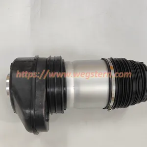 37106869035 37106869029 37106869031 37106869036 Hot Selling Nice Quality Front Air Spring for BMW X5 G05 X6 G06 X7 G07 2018-- thumbnail-1