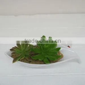 High Quality Artificial Plants Mini Plastic Plants Wholesale thumbnail-1