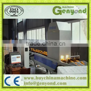 Automatic Fruit Weight Sorting Machine thumbnail-1