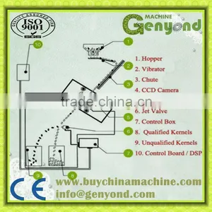 High Quality DATES Color Sorting Machine thumbnail-3