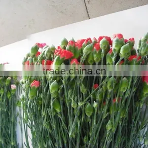 China Classical Carnation for Wedding Stage Backdrop Decoration thumbnail-6