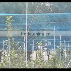 Anti-bird Netting thumbnail-1