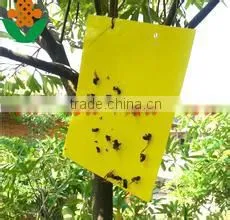 Weather Condition Yellow Sticky Hanging Mosquito ,fly ,insects Plastic Glue Trap thumbnail-3