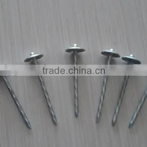 Spiral Galvanized Steel Nails ,nail for Steel Roofing Sheet thumbnail-1