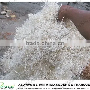 Newly Type Fine Wood Wool Machine on Sale thumbnail-4