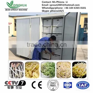 2013 Best Selling Bean Sprout Machine thumbnail-2