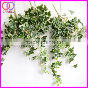 Important of Ornamental Plant thumbnail-6