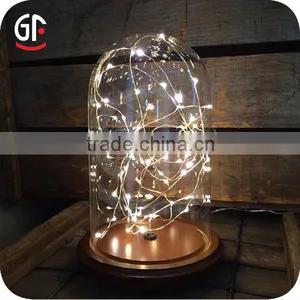 China Party Items Good PriceLED Battery String Light Underwater thumbnail-6
