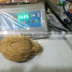 Semi Husked Coconuts !!! Bulk Order !!! thumbnail-1
