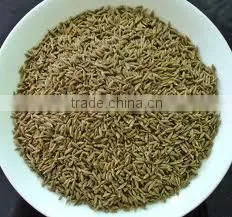 Indian Spices - Indian Origin Cumin thumbnail-2