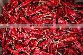 Red Chilli Teja Chilli With Stem. thumbnail-1
