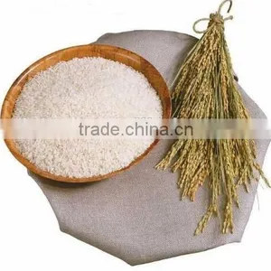 Wholesale High Quality Organic Rice Protein Pure Natural thumbnail-2