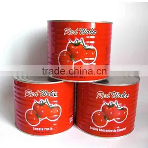 Canned Tomato Paste 28-30% Price Canned Tomato Paste thumbnail-2