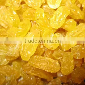 Golden Sultana Raisin thumbnail-1