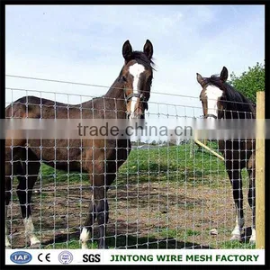 Livestock Panels Knot Mesh Machine Cattle Yard Panels Wholesale From China thumbnail-5